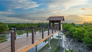 جزيرة بن غانم